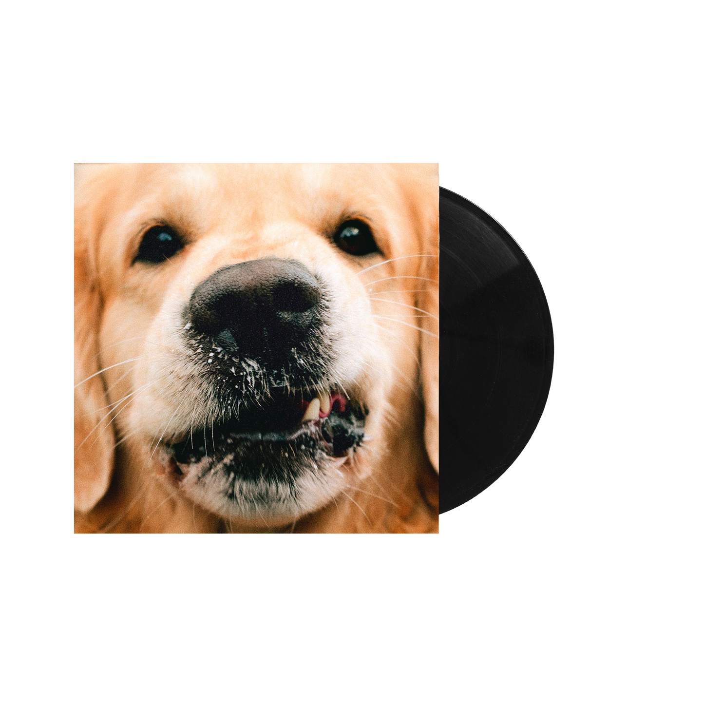 Goldie (Vinyl)